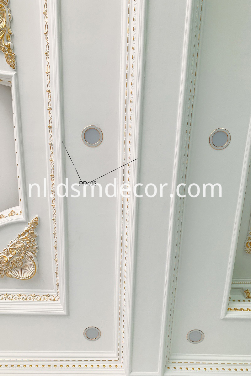 Paneelvormende decoratie Panel Molding Decoration